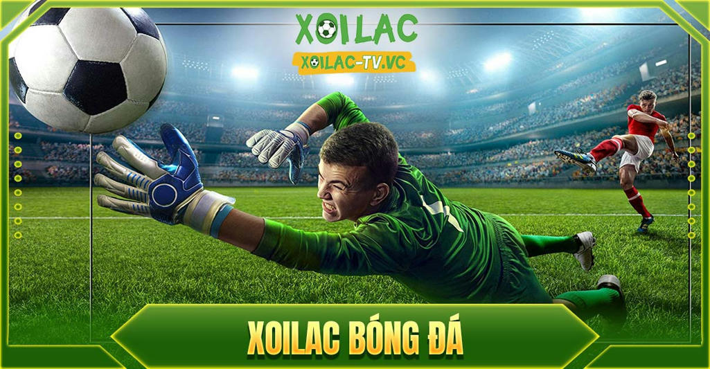 xoilacztv 3